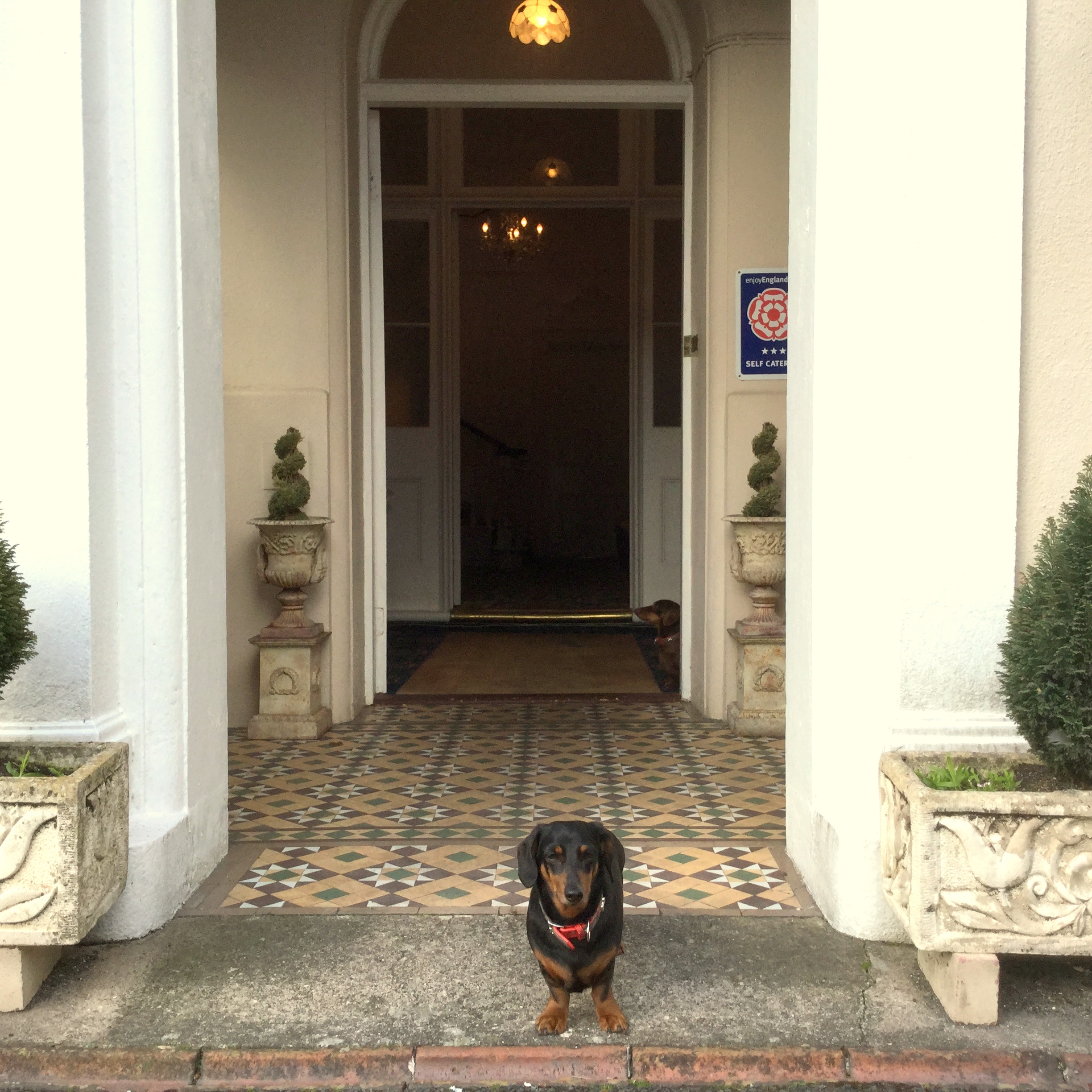 Dog Friendly holidays in Torquay on The English Riviera. Dog Friendly